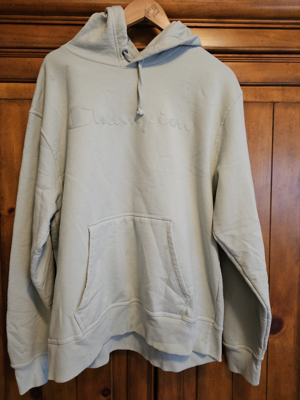 Champion Pullover Hoodie in Light Sage